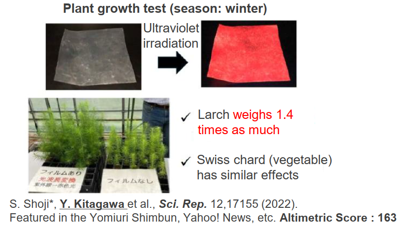 Lithium Extraction from Ore