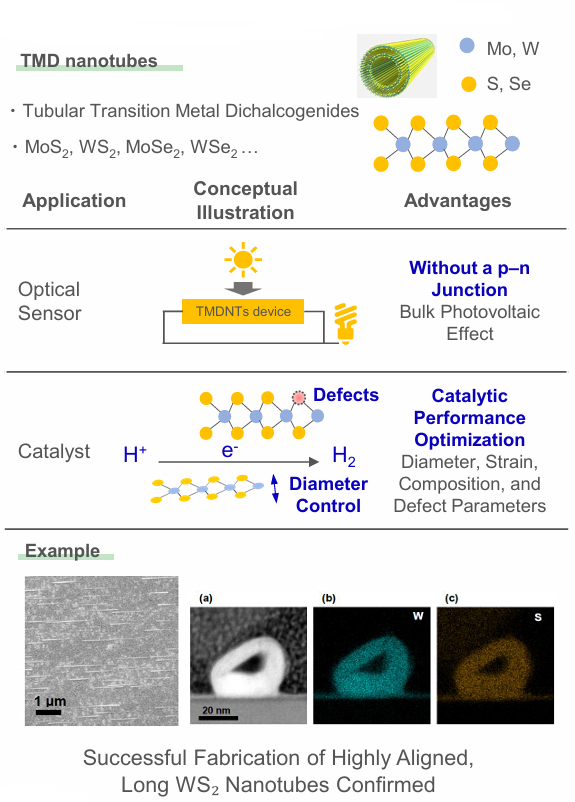 Transition Metal Dichalcogenide Nanotubes