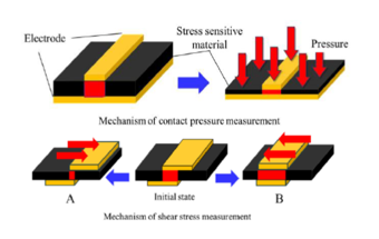 Sensor for simultaneous measurement of shear and pressure