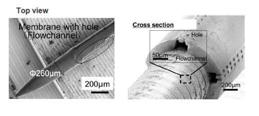 Skin Microcirculation System