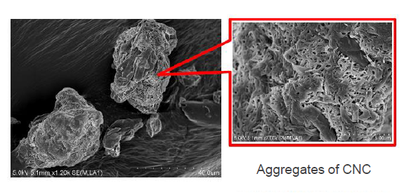 Cellulose nanocrystal ball