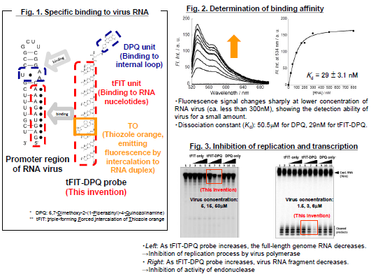 An inhibitor of Influenza A virus: tFIT-DPQ probe