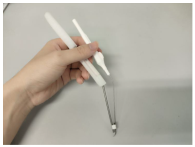 Endoscope Assembly