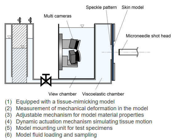Microneedle Penetration Evaluation System