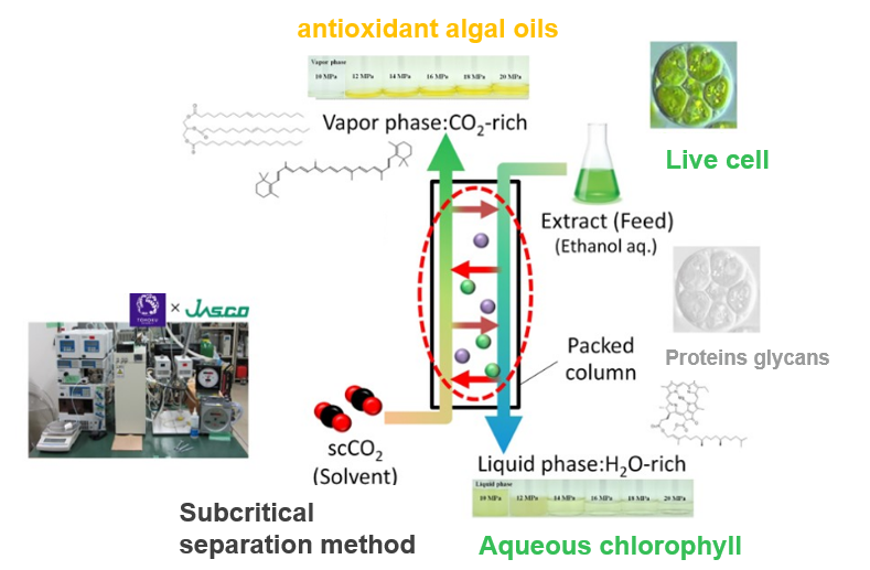 Green Extraction Technology for Algal Components