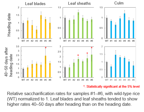 Improving Plant Saccharification