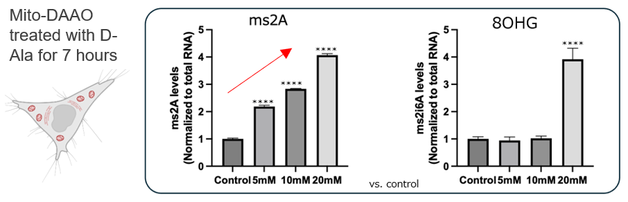 A novel mitochondrial oxidative stress marker