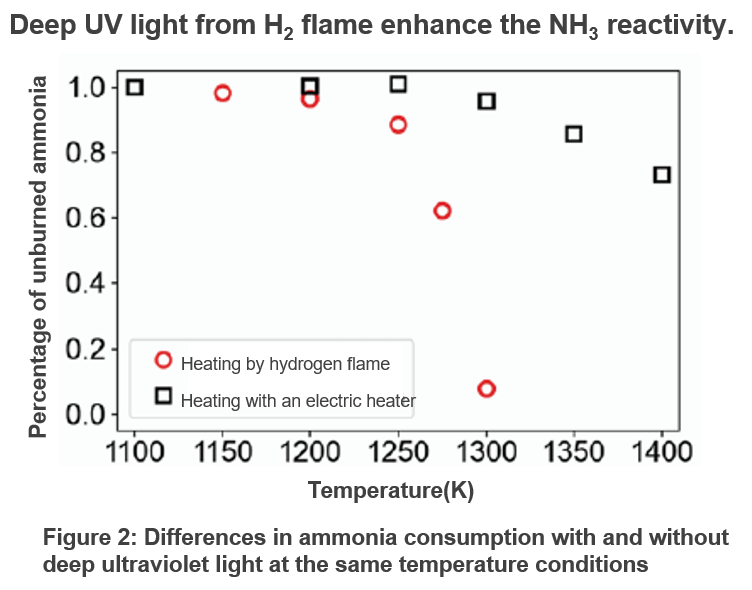Ammonia combustion device