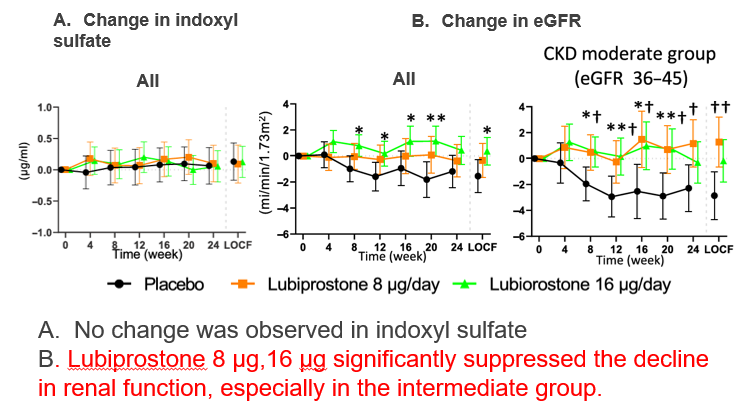 Lubiprostone, a constipation drug, has a kidney protective effect