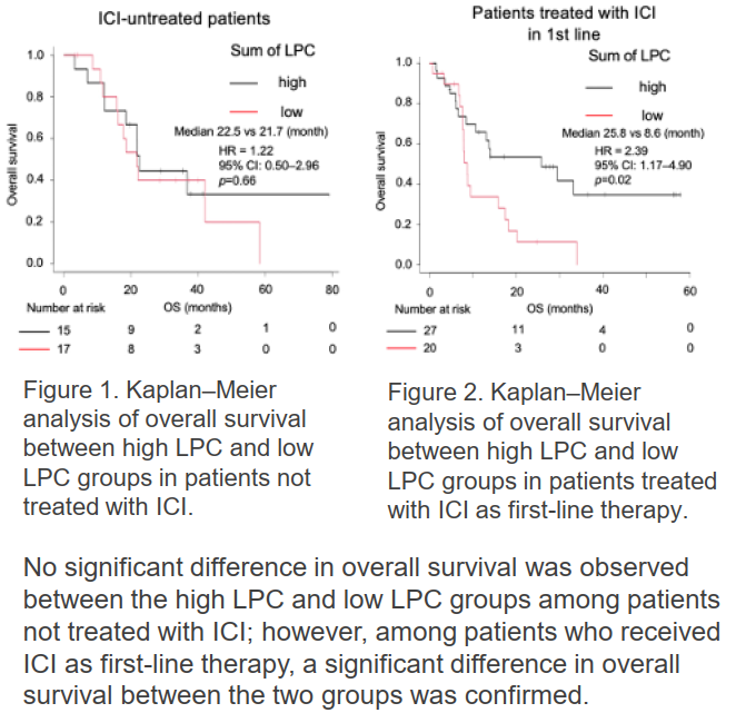 Predictive Markers for the Efficacy of Immune Checkpoint Inhibitors