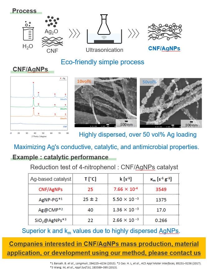CNF/Ag nanoparticle composite